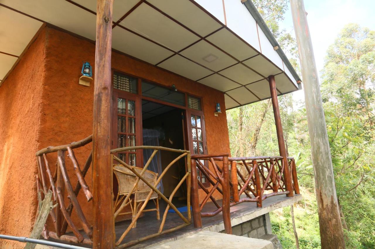 Birds Song Home Ella Bagian luar foto